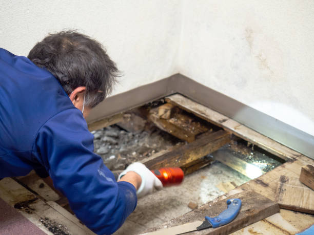 Best Water Damage Restoration  in Chubbuck, ID