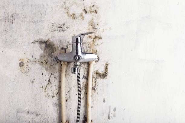 Best Mold Removal Near Me  in Chubbuck, ID