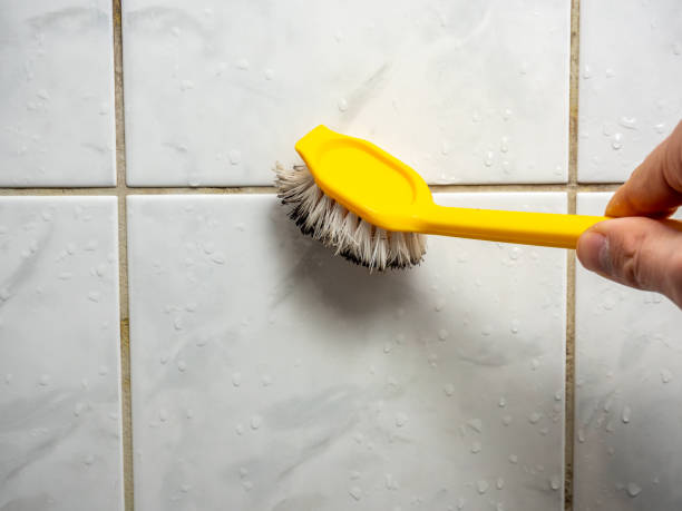Best Professional Mold Removal  in Chubbuck, ID