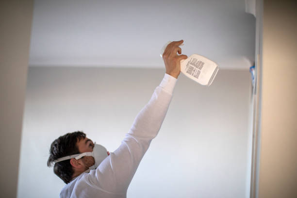 Chubbuck, ID Mold Removal Company