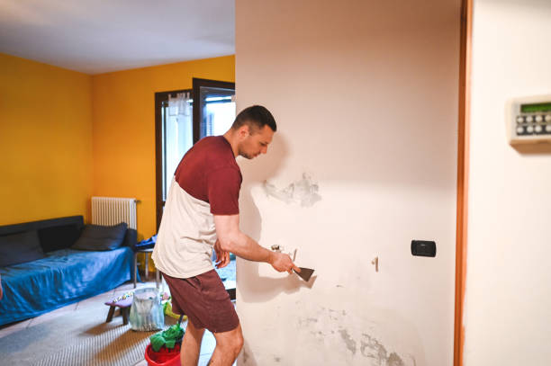 Best Mold Testing and Removal  in Chubbuck, ID